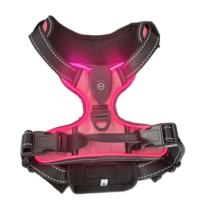 🌟 GlowPup Harness – Light the Way for Night Walks