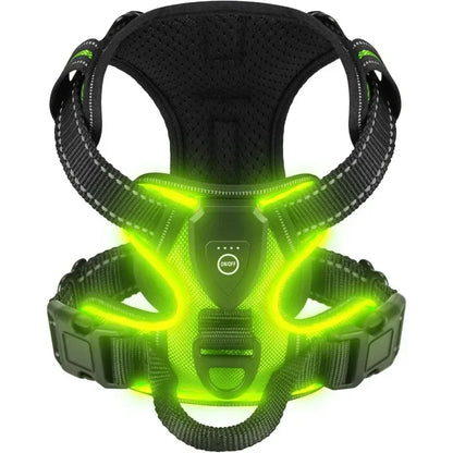 🌟 GlowPup Harness – Light the Way for Night Walks