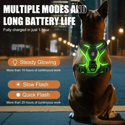 🌟 GlowPup Harness – Light the Way for Night Walks