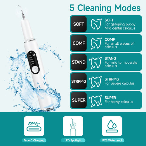 PawLuxe Dental Tool