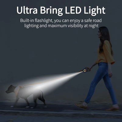 GlowTrack Pet Leash
