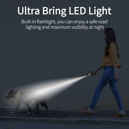 GlowTrack Pet Leash