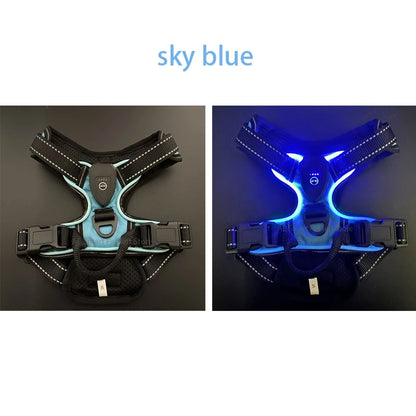🌟 GlowPup Harness – Light the Way for Night Walks